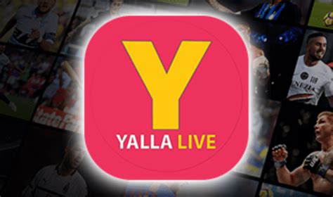 yarigalive|yalla live tv direct.